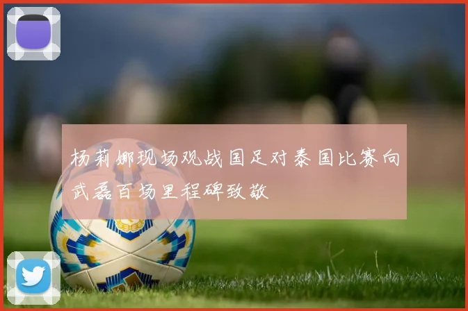 杨莉娜现场观战国足对泰国比赛向武磊百场里程碑致敬